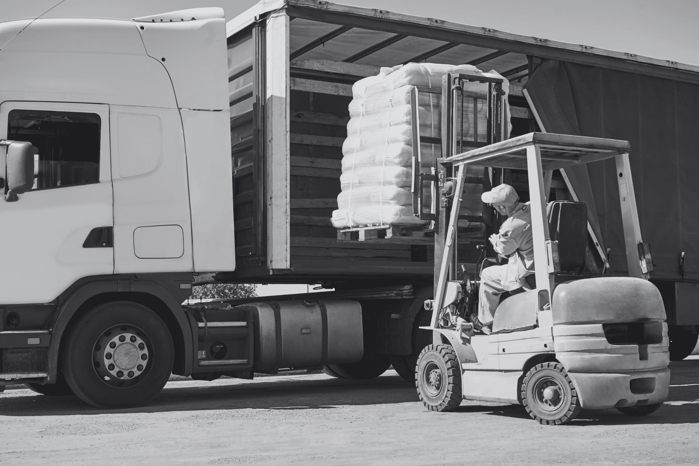 Pet food distribution and export logistics
